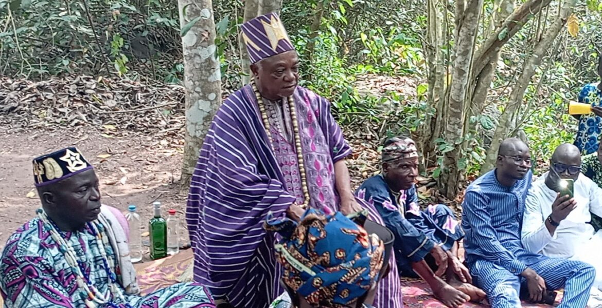 Forêt sacrée de Zannoudji